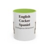 11oz English Cocker Spaniel Latin Mug, Light Green, front view