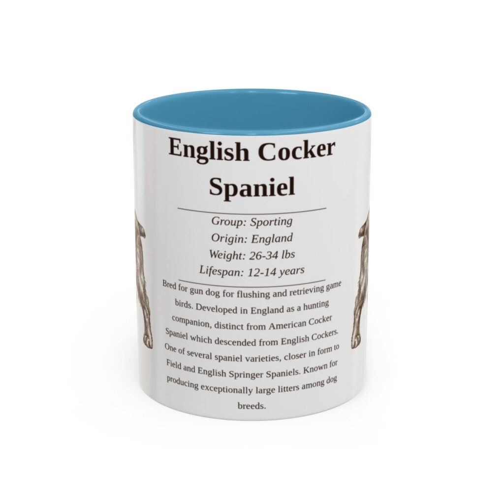11oz English Cocker Spaniel Mug, Light Blue, front view