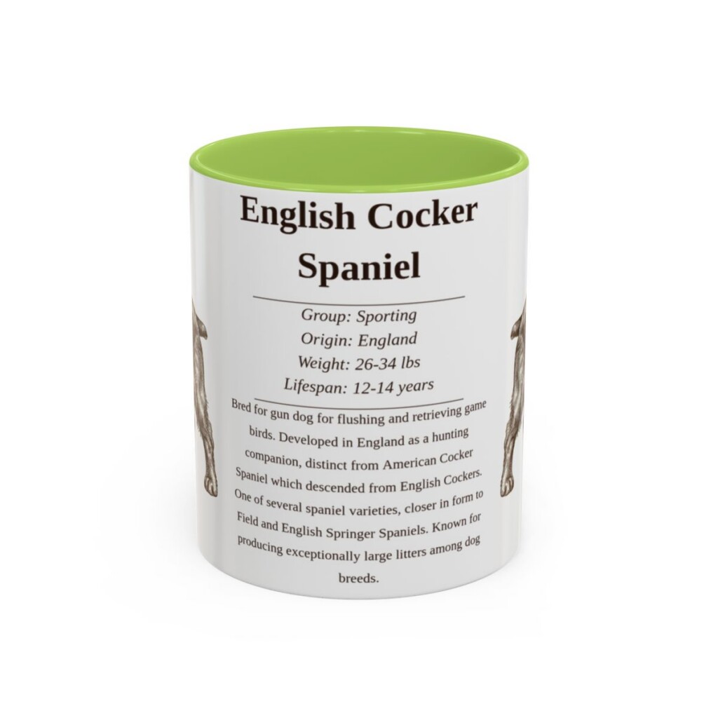11oz English Cocker Spaniel Mug, Light Green, front view