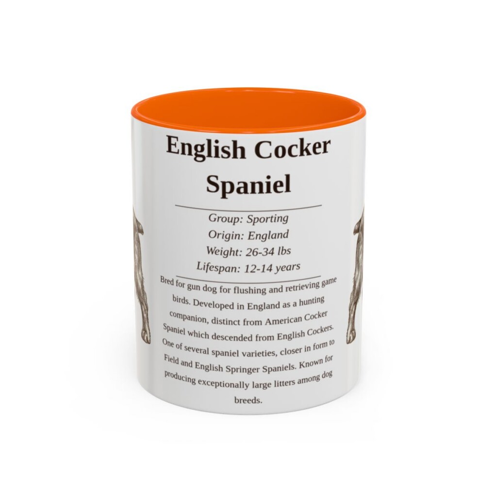11oz English Cocker Spaniel Mug, Orange, front view