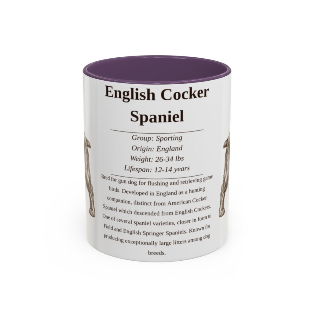 11oz English Cocker Spaniel Mug, Purple, front view