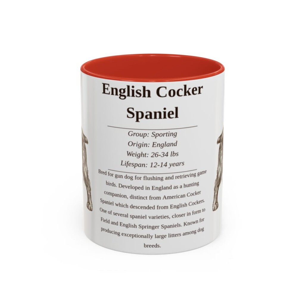 11oz English Cocker Spaniel Mug, Red, front view