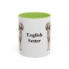 11oz English Setter Mug, Light Green, front view