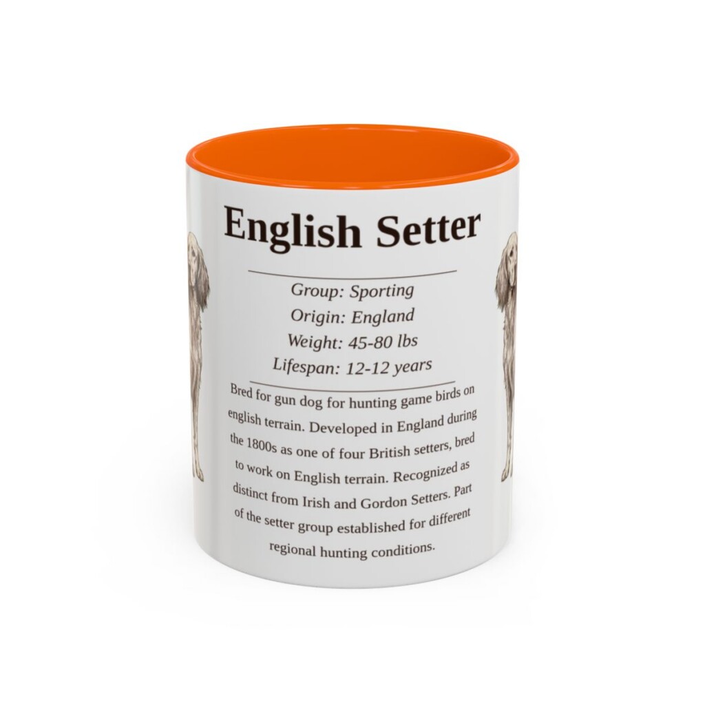 11oz English Setter Mug, Orange, front view