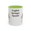 11oz English Springer Spaniel Mug, Light Green, front view