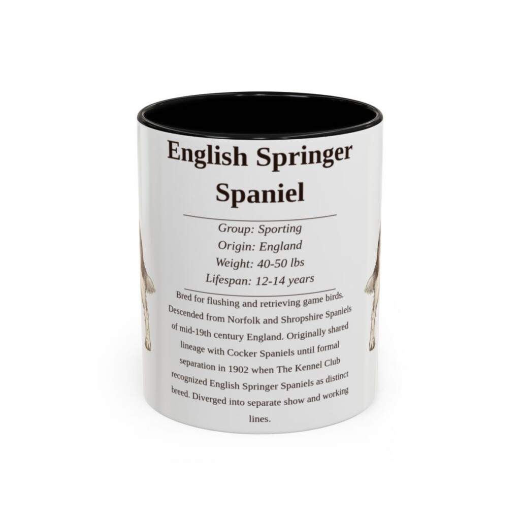 11oz English Springer Spaniel Mug, Black, front view