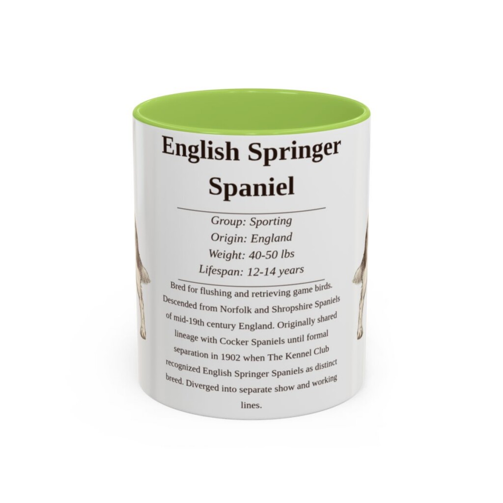 11oz English Springer Spaniel Mug, Light Green, front view