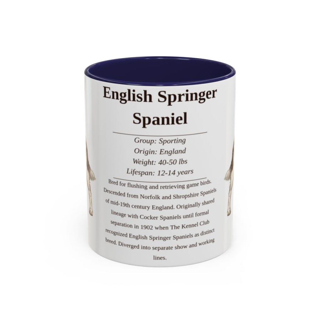 11oz English Springer Spaniel Mug, Navy, front view