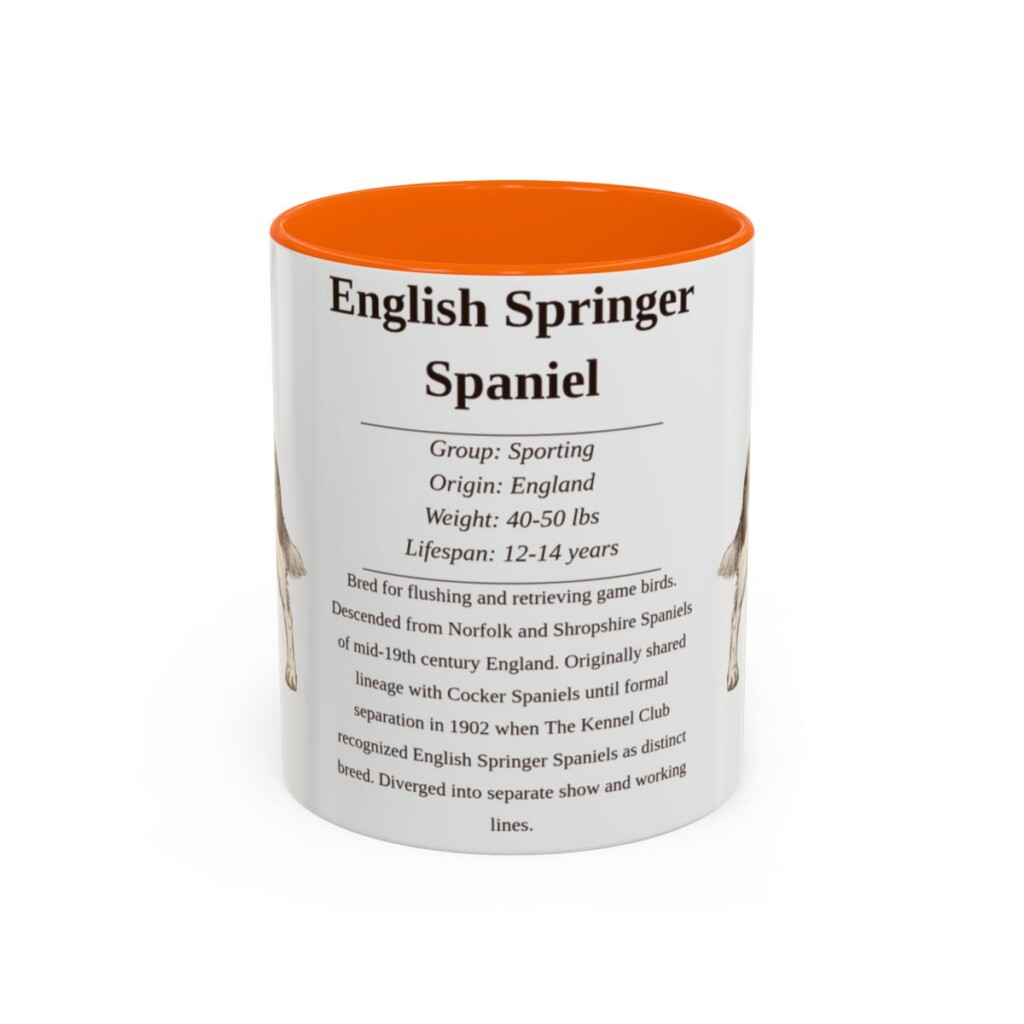 11oz English Springer Spaniel Mug, Orange, front view