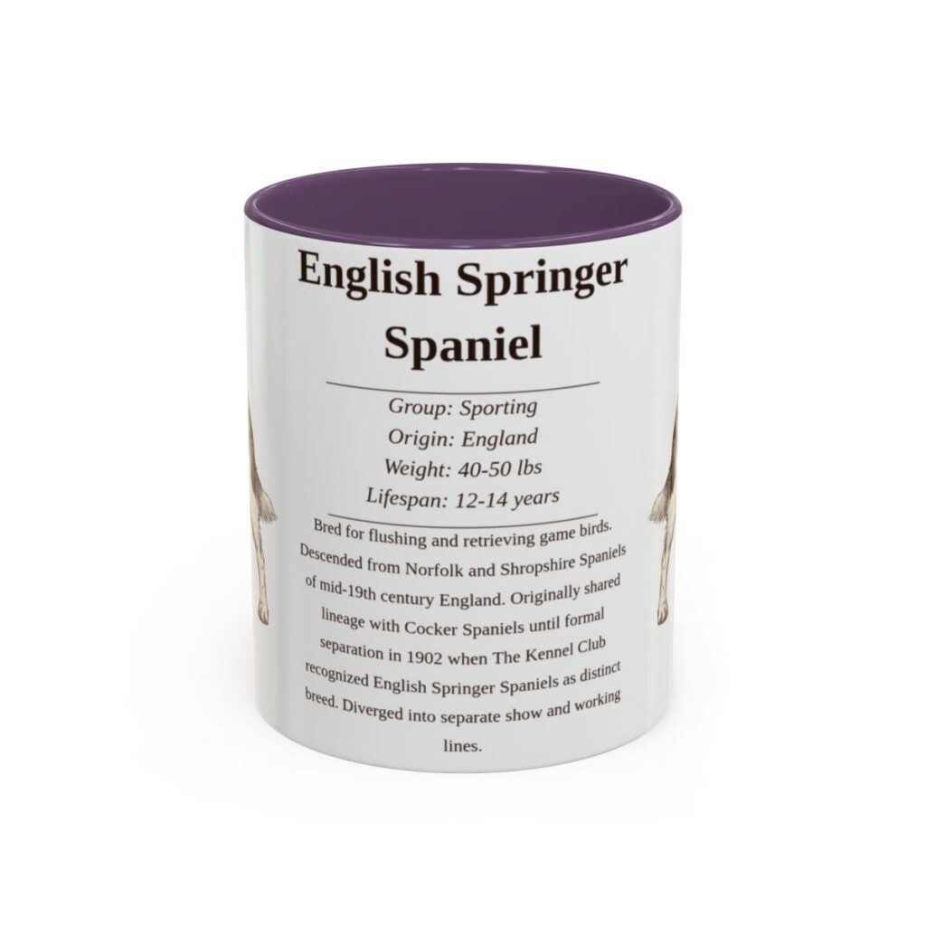 11oz English Springer Spaniel Mug, Purple, front view