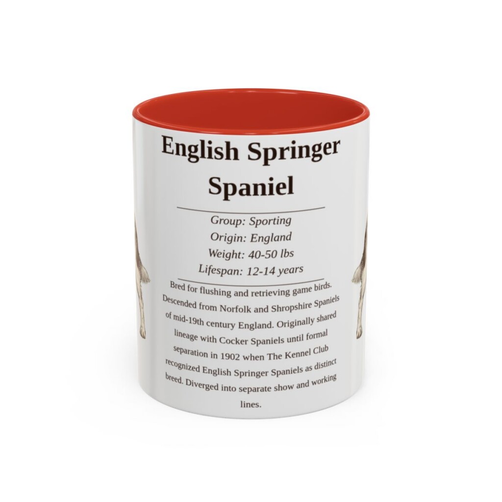 11oz English Springer Spaniel Mug, Red, front view