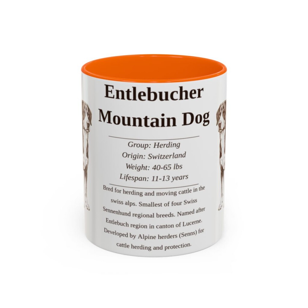 11oz Entlebucher Mountain Dog Mug, Orange, front view