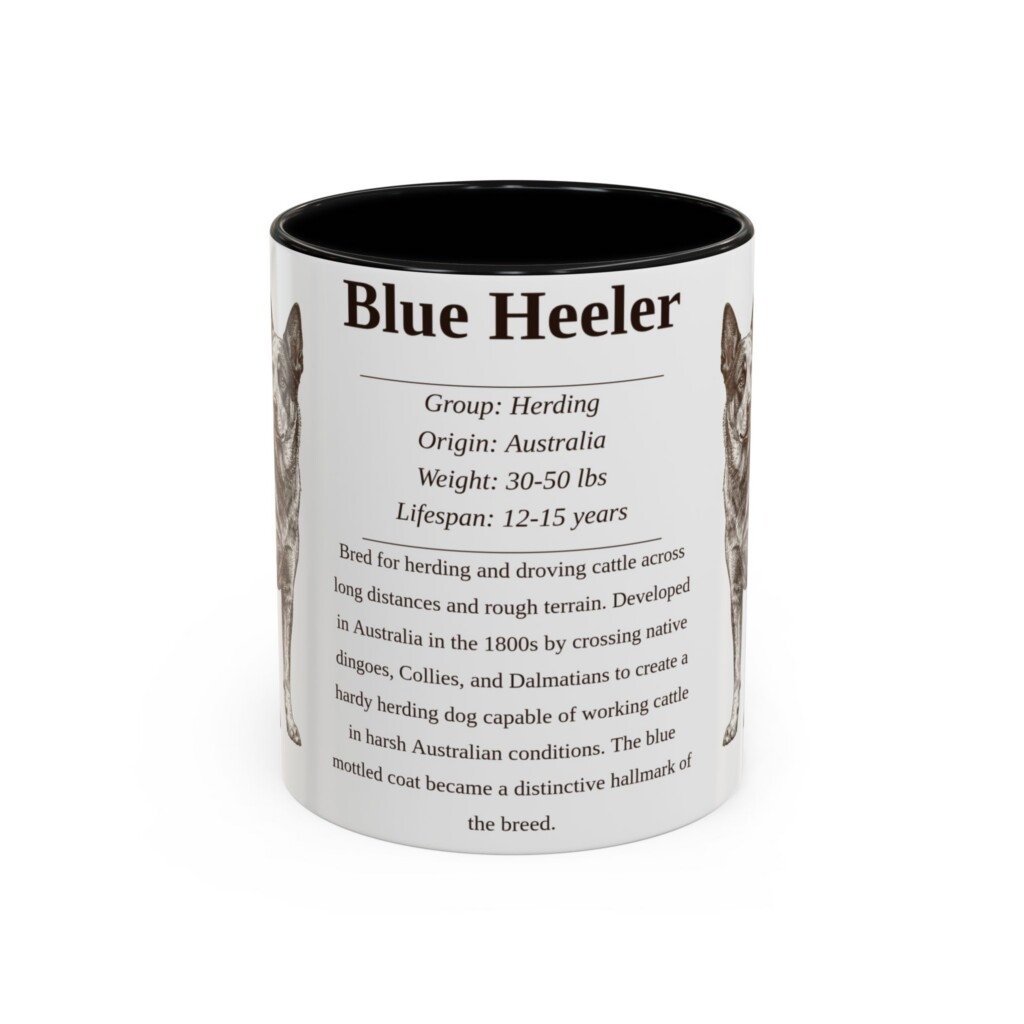 11oz Blue Heeler Mug, Illustrated Dog Breed Facts Coffee Mug, Vintage Dog Keepsake Gift