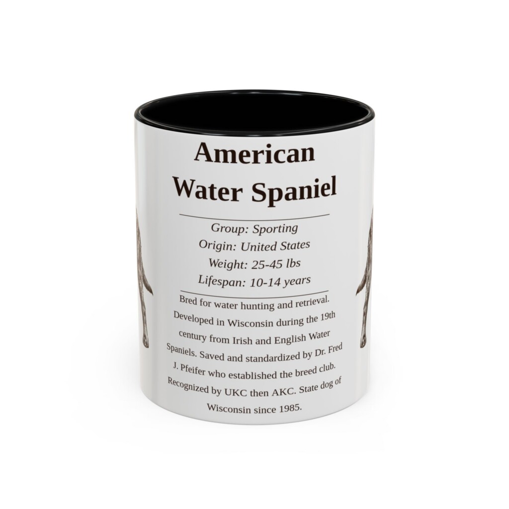11oz American Water Spaniel Mug, Illustrated Dog Breed Facts Coffee Mug, Vintage Dog Keepsake Gift