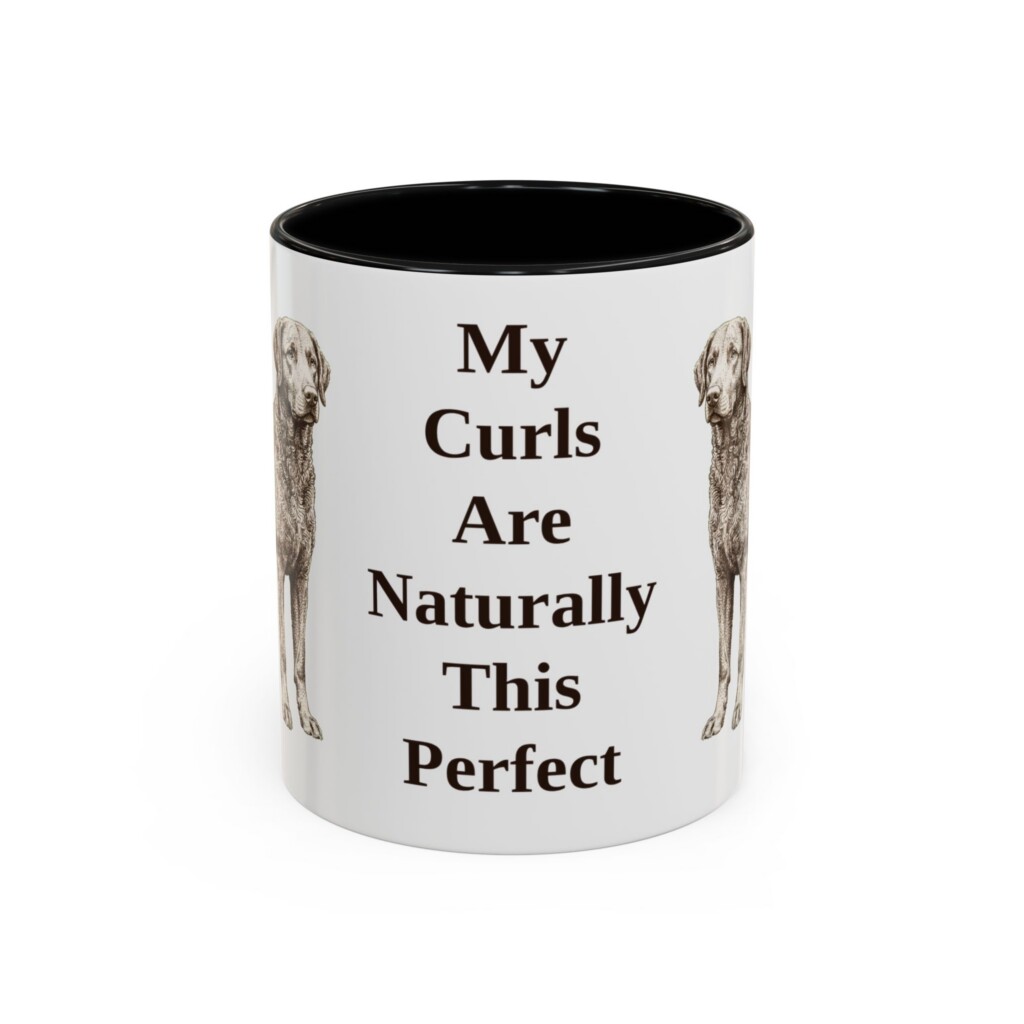 14391718498624169300_2048.jpeg 11oz Funny Curly-Coated Retriever Mug, Vintage Dog Coffee Mug, Dog Lover Gift