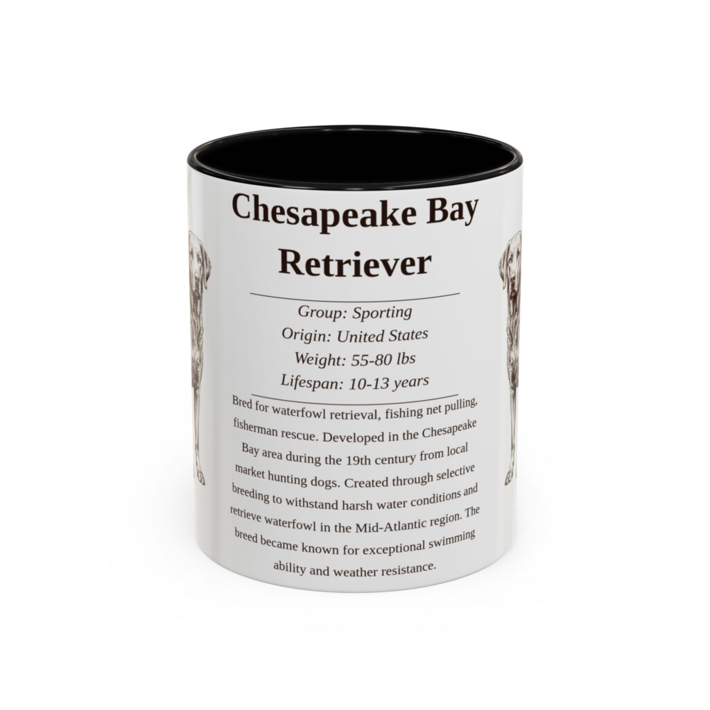 11oz Chesapeake Bay Retriever Mug, Illustrated Dog Breed Facts Coffee Mug, Vintage Dog Keepsake Gift