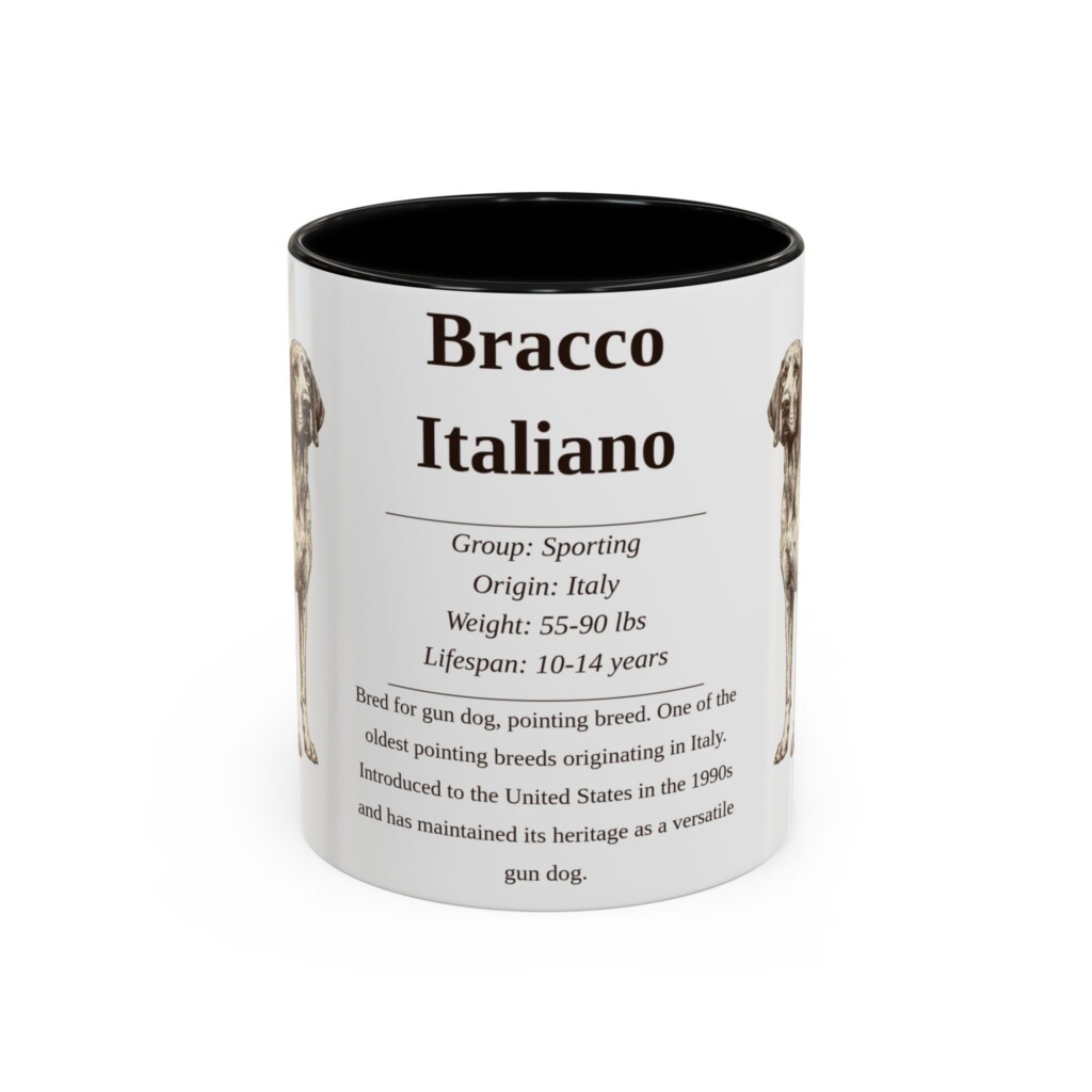 11oz Bracco Italiano Mug, Illustrated Dog Breed Facts Coffee Mug, Vintage Dog Keepsake Gift