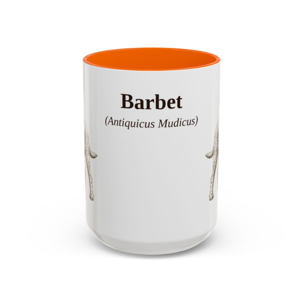 15oz Barbet Latin Mug, Orange, front view