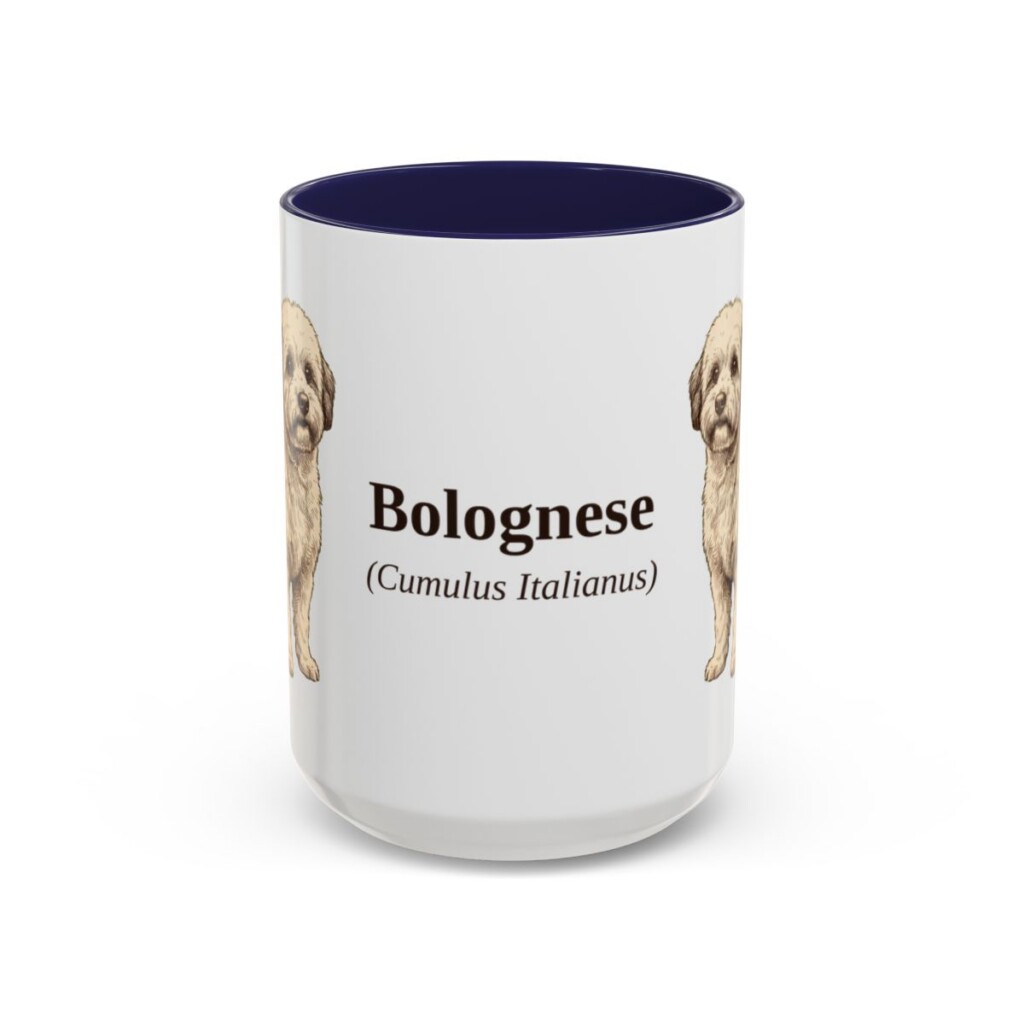 15oz Bolognese Latin Mug, Navy, front view