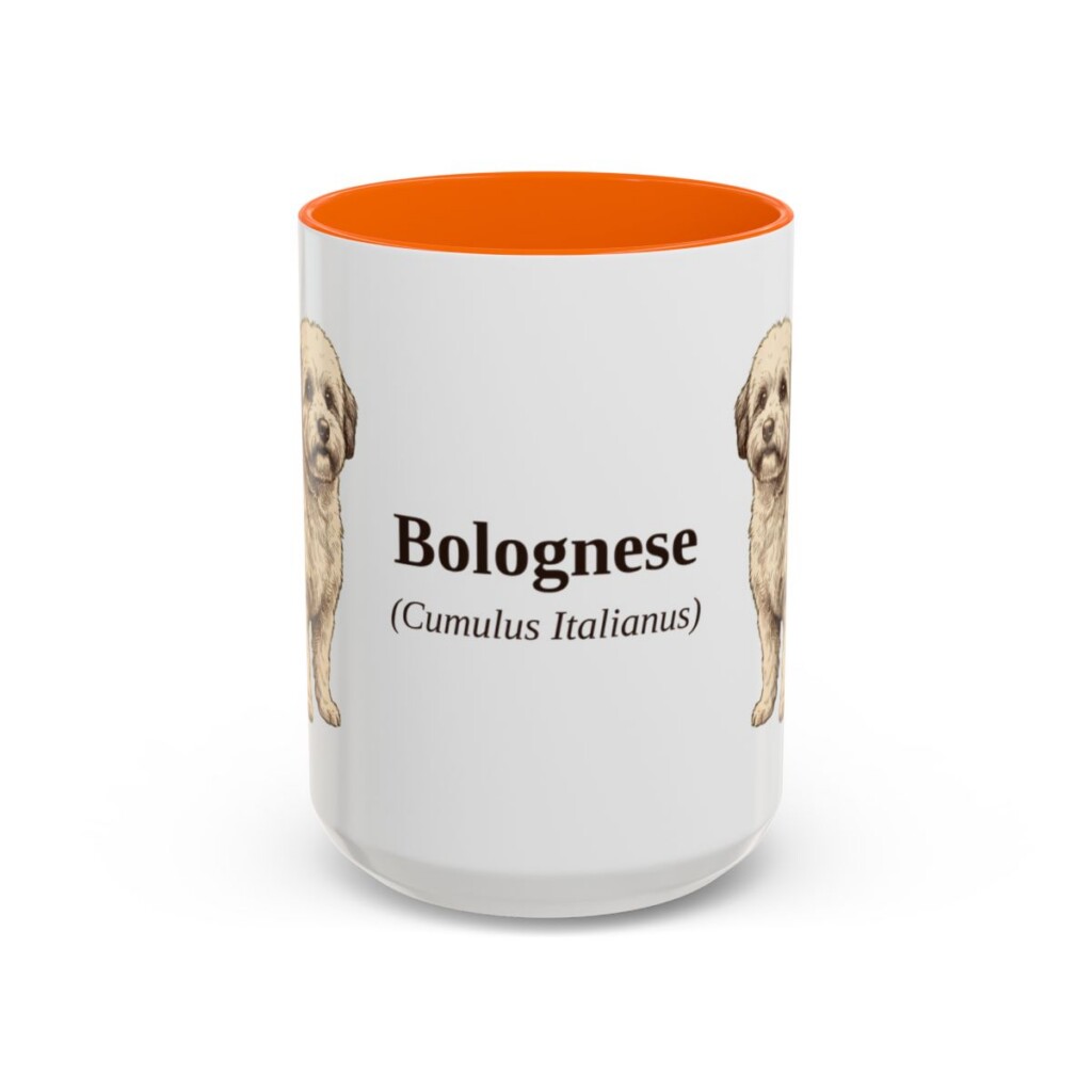 15oz Bolognese Latin Mug, Orange, front view