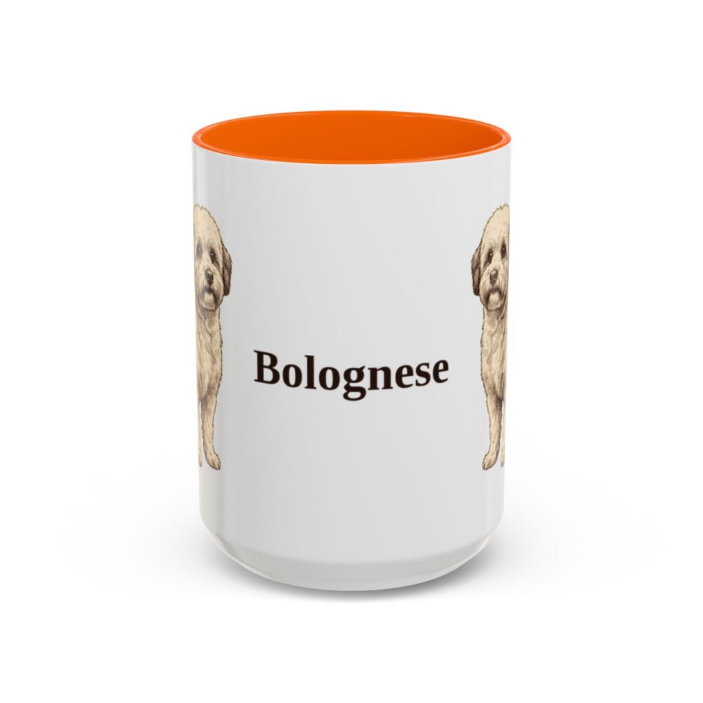 15oz Bolognese Mug, Orange, front view