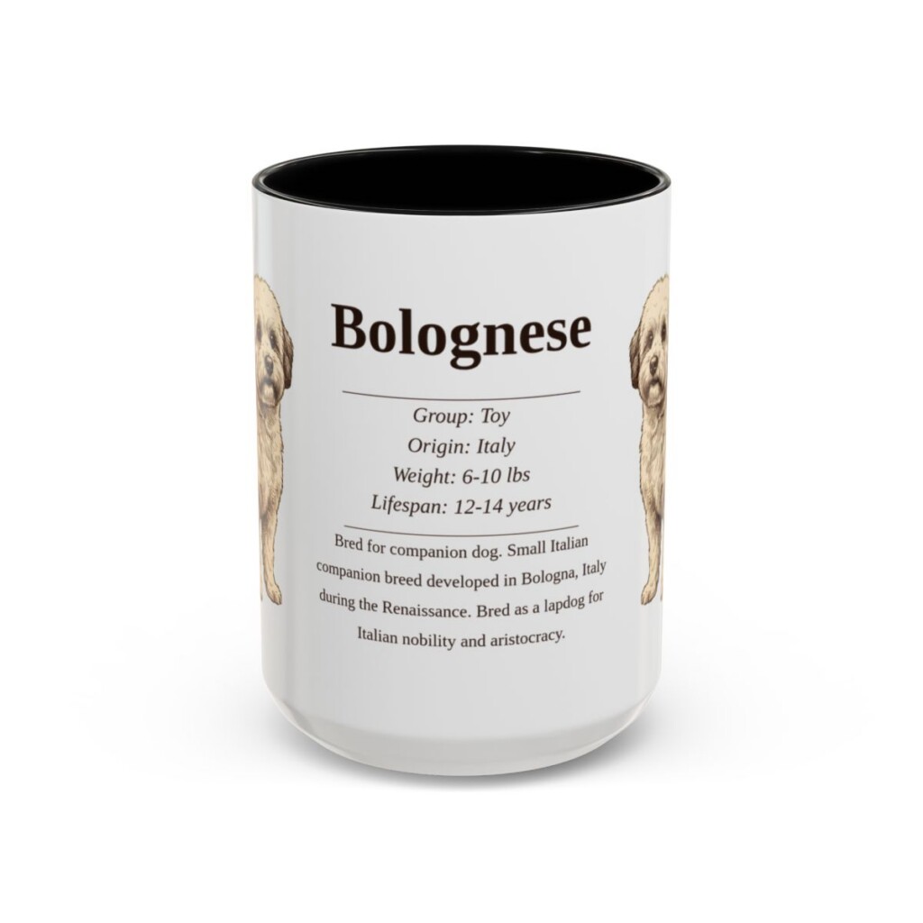 15oz Bolognese Mug, Black, front view