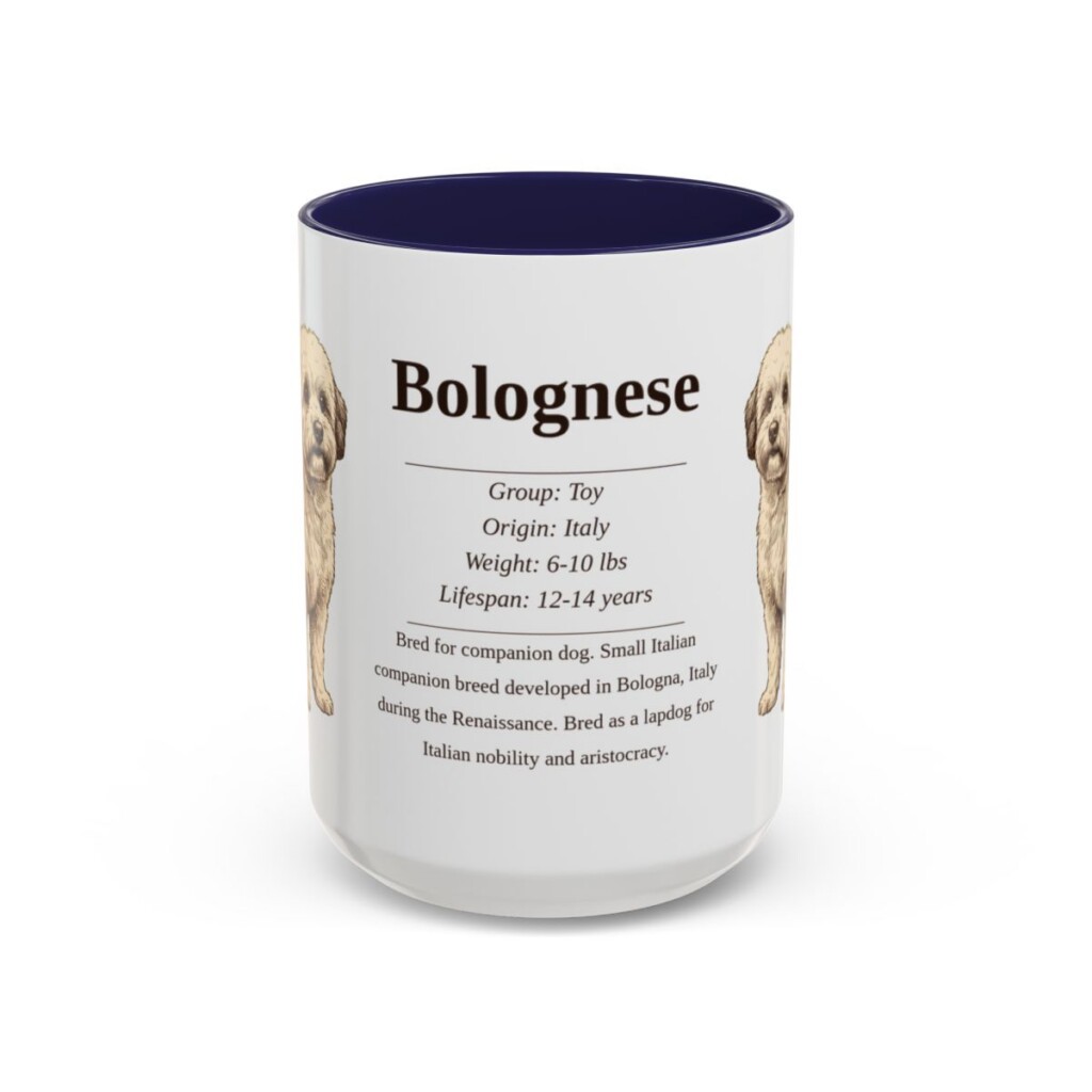 15oz Bolognese Mug, Navy, front view