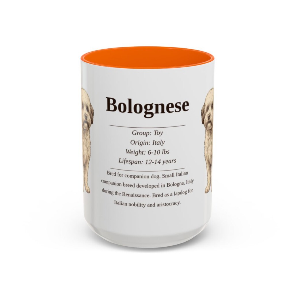 15oz Bolognese Mug, Orange, front view