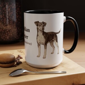 15oz Brazilian Terrier Latin Mug, Black, lifestyle photo