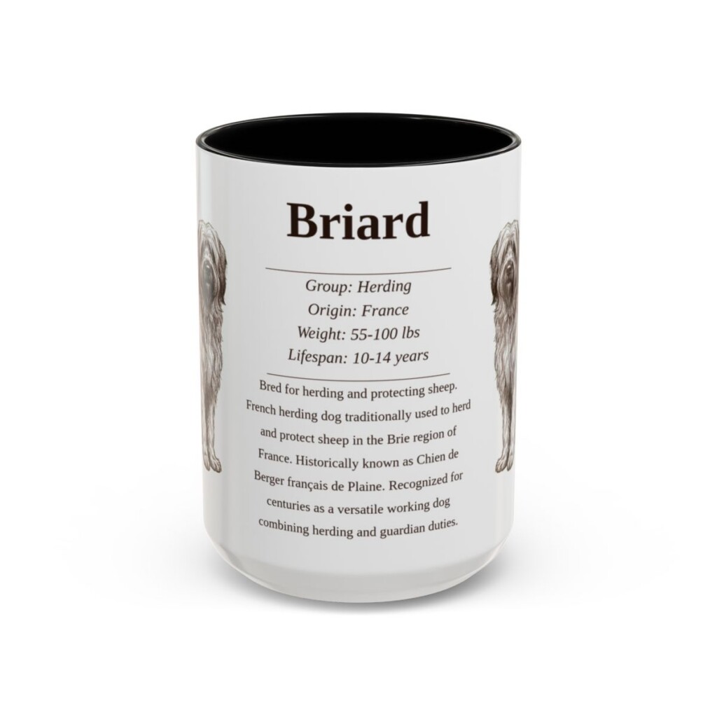 15oz Briard Mug, Black, front view