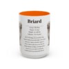 15oz Briard Mug, Orange, front view