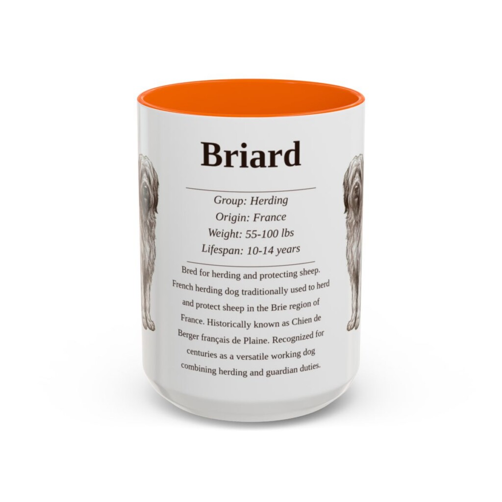 15oz Briard Mug, Orange, front view