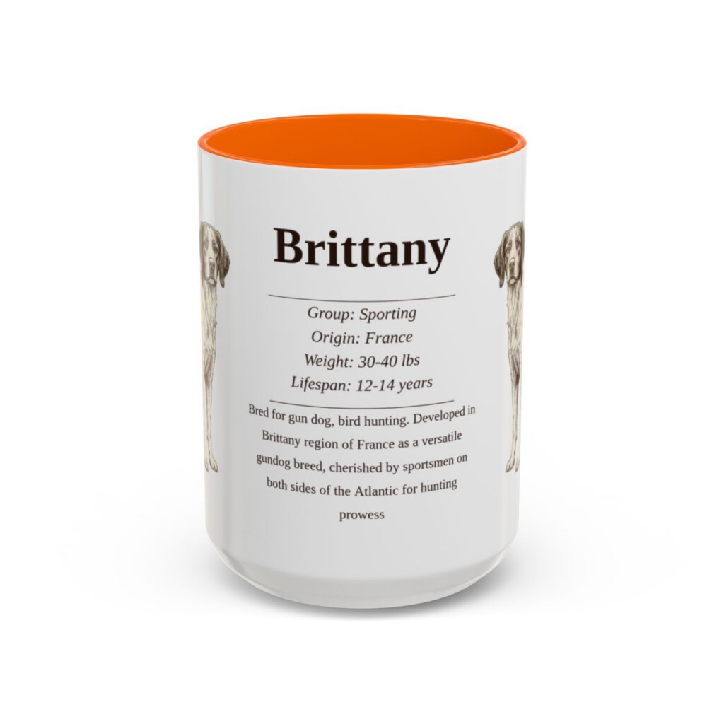 15oz brittany mug, Orange