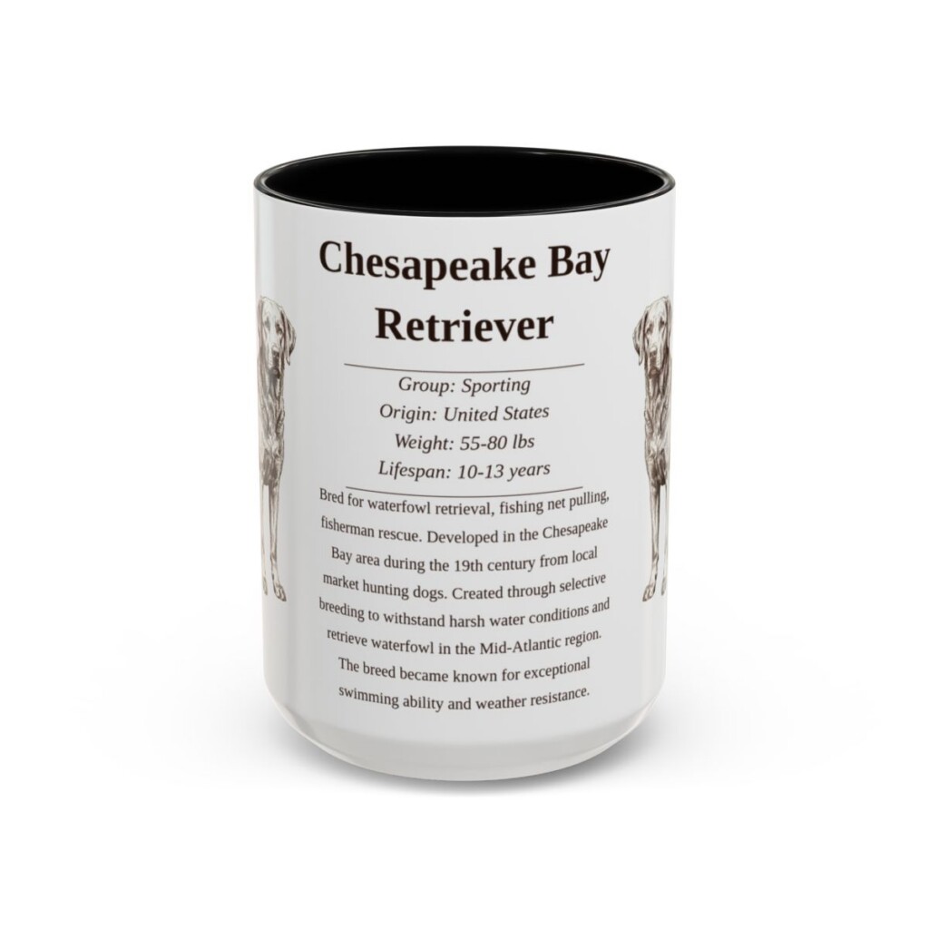 15oz Chesapeake Bay Retriever Mug, Black, front view