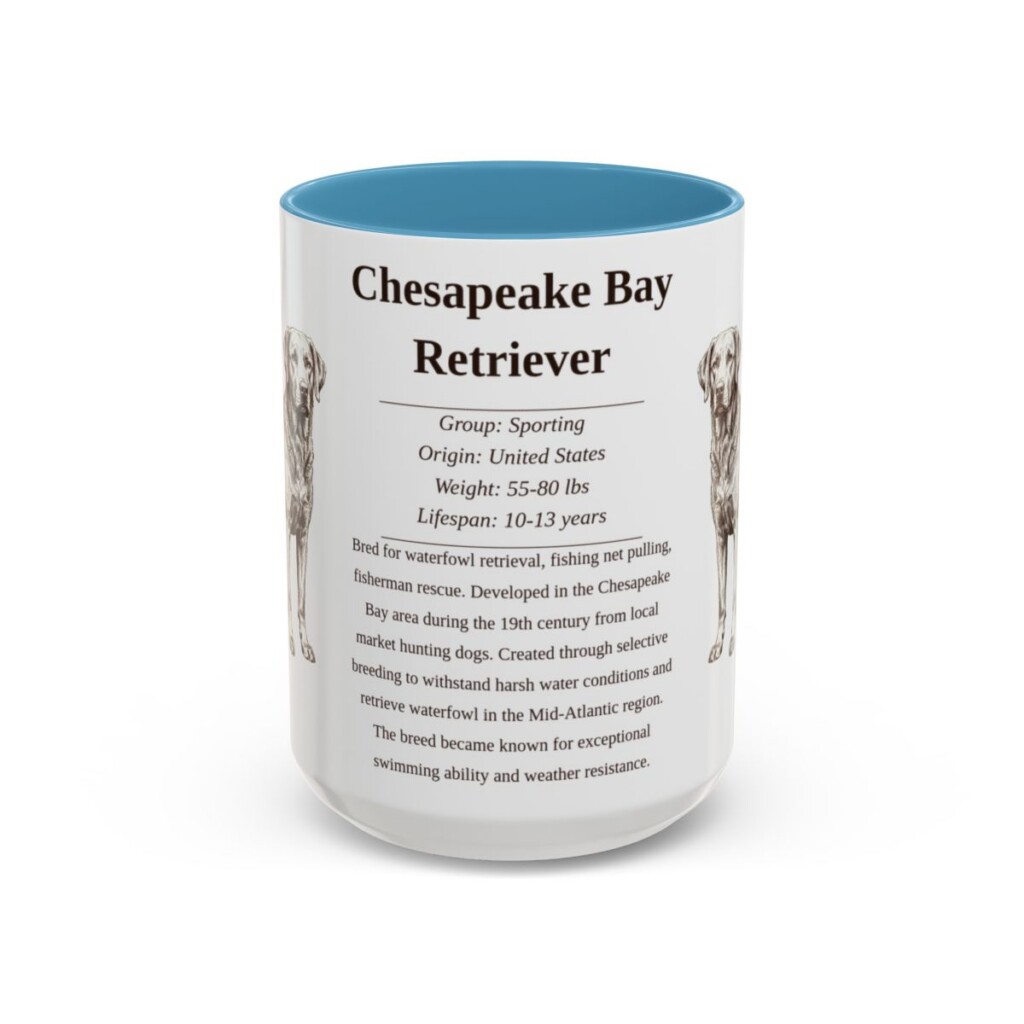 15oz Chesapeake Bay Retriever Mug, Light Blue, front view