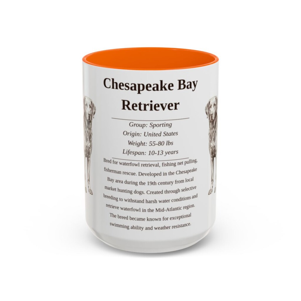15oz Chesapeake Bay Retriever Mug, Orange, front view