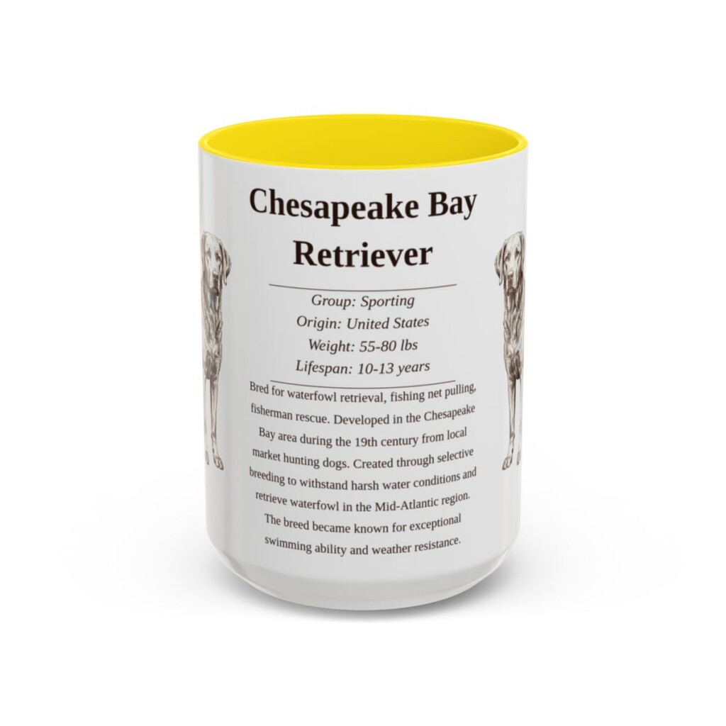 15oz Chesapeake Bay Retriever Mug, Yellow, front view