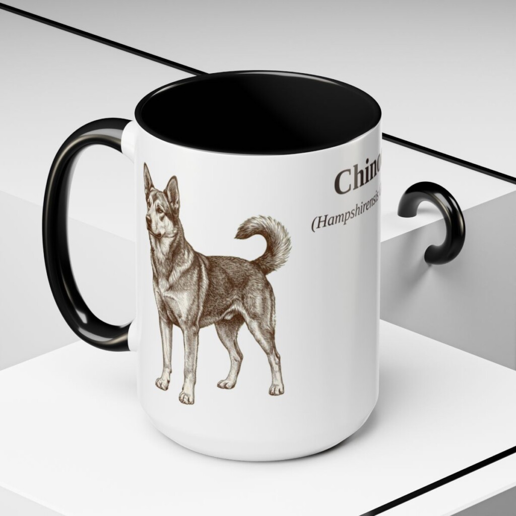 15oz Chinook Latin Mug, Black, lifestyle photo