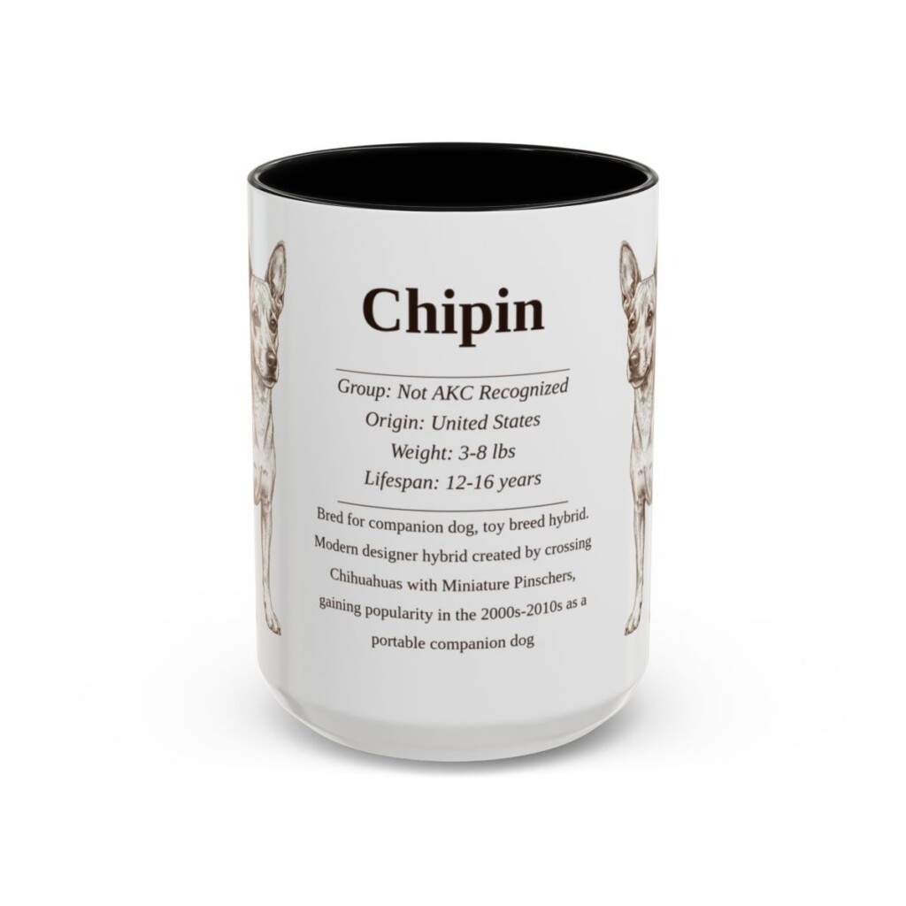 15oz Chipin Mug, Black, front view