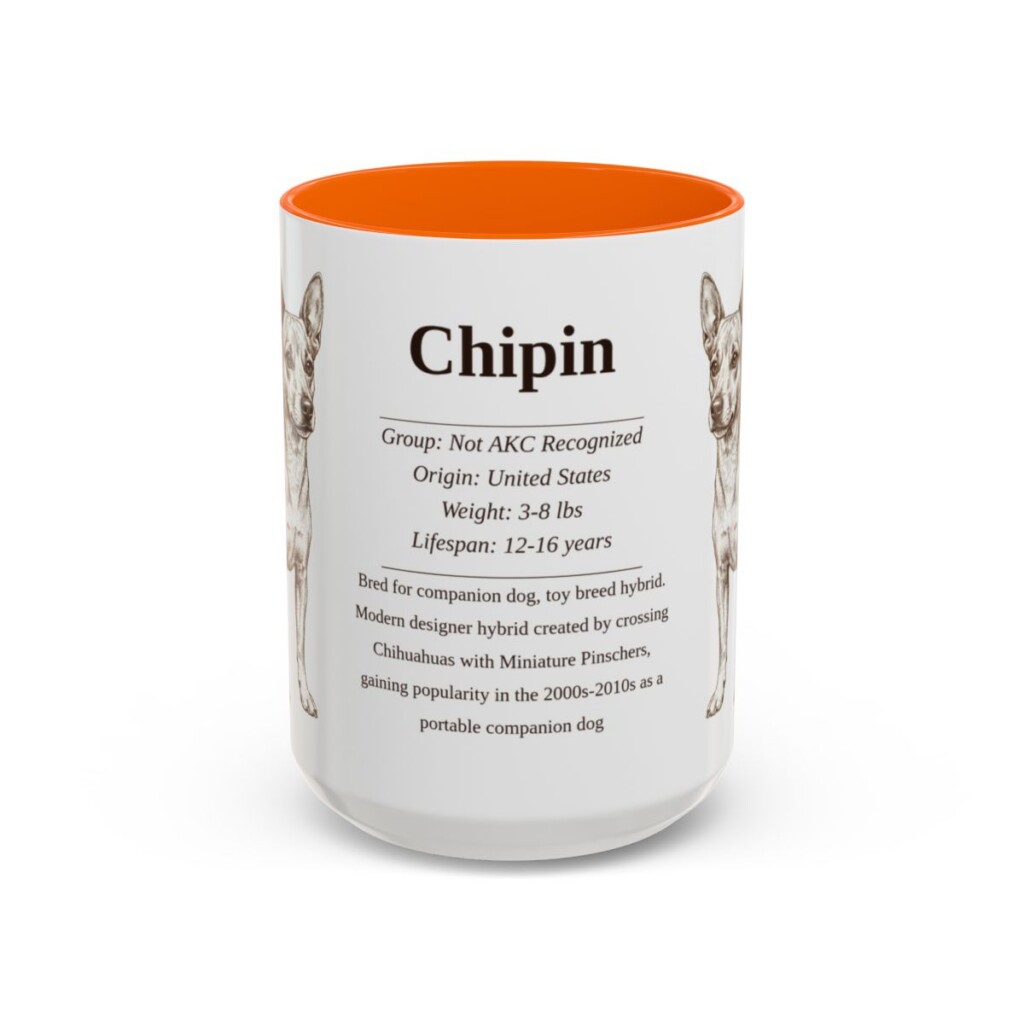 15oz Chipin Mug, Orange, front view