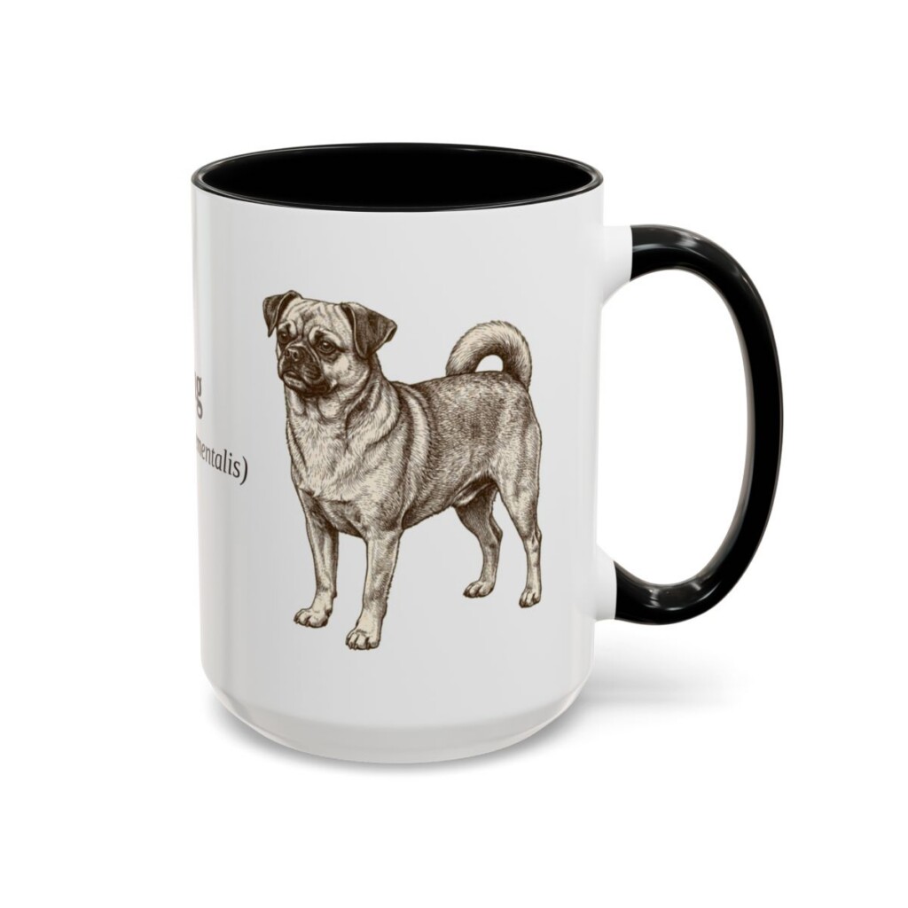 15oz Chug Latin Mug, Black, right side view
