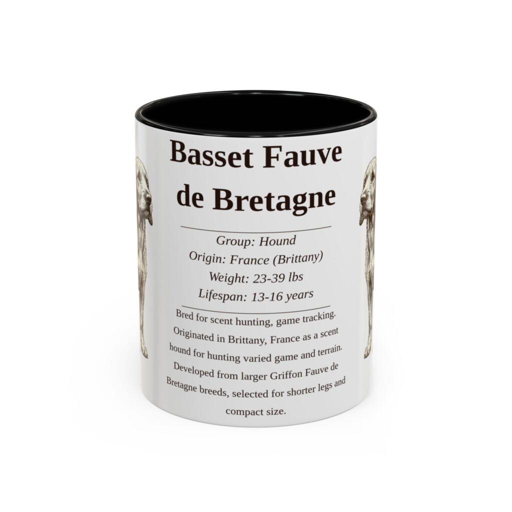 16666174852236522938_2048.jpeg 11oz Basset Fauve de Bretagne Mug, Illustrated Dog Breed Facts Coffee Mug, Vintage Dog Keepsake Gift