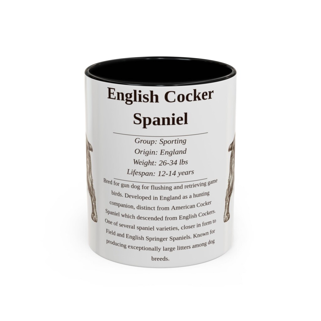 11oz English Cocker Spaniel Mug, Illustrated Dog Breed Facts Coffee Mug, Vintage Dog Keepsake Gift