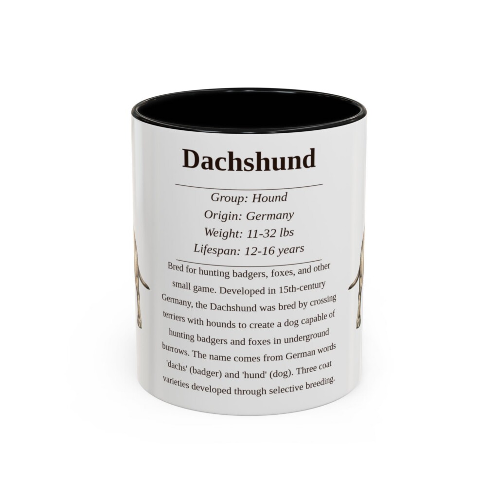 11oz Dachshund Mug, Illustrated Dog Breed Facts Coffee Mug, Vintage Dog Keepsake Gift