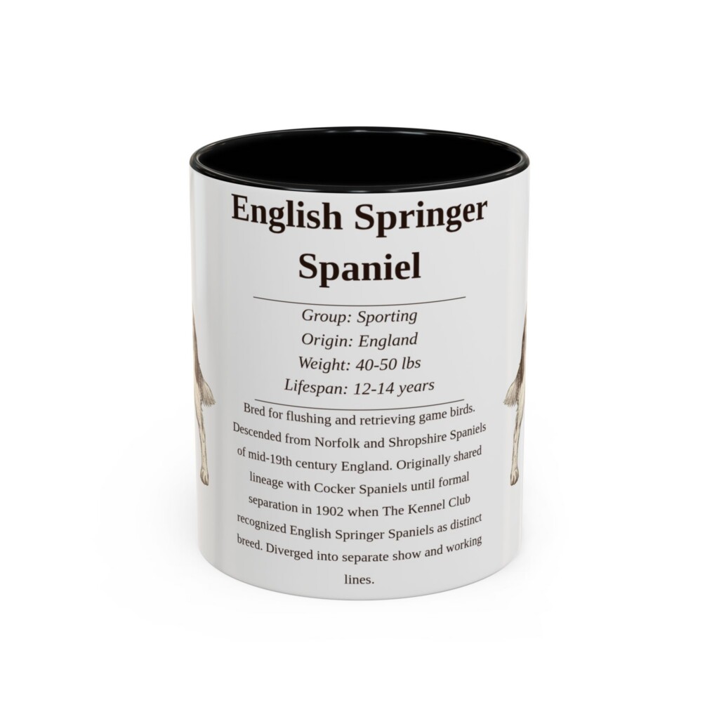 11oz English Springer Spaniel Mug, Illustrated Dog Breed Facts Coffee Mug, Vintage Dog Keepsake Gift
