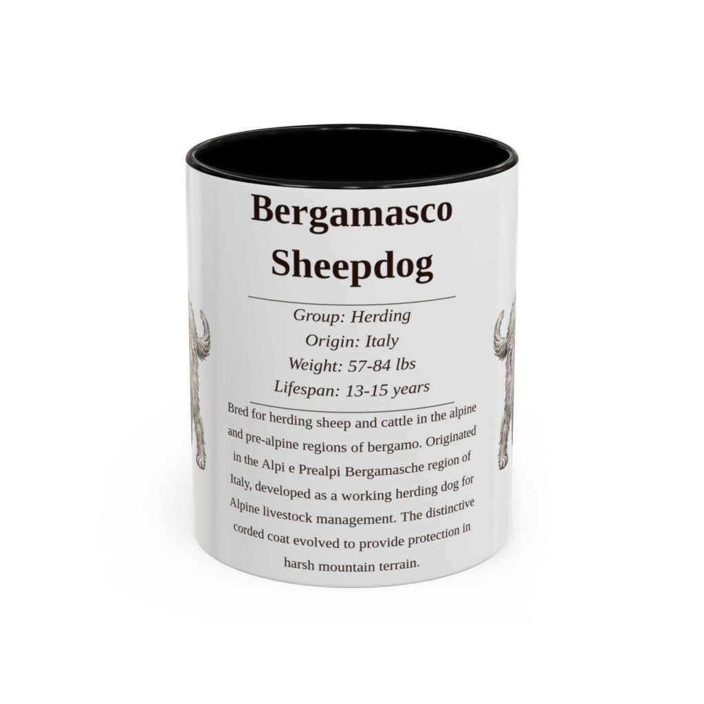 465959655832956413_2048.jpeg 11oz Bergamasco Sheepdog Mug, Illustrated Dog Breed Facts Coffee Mug, Vintage Dog Keepsake Gift