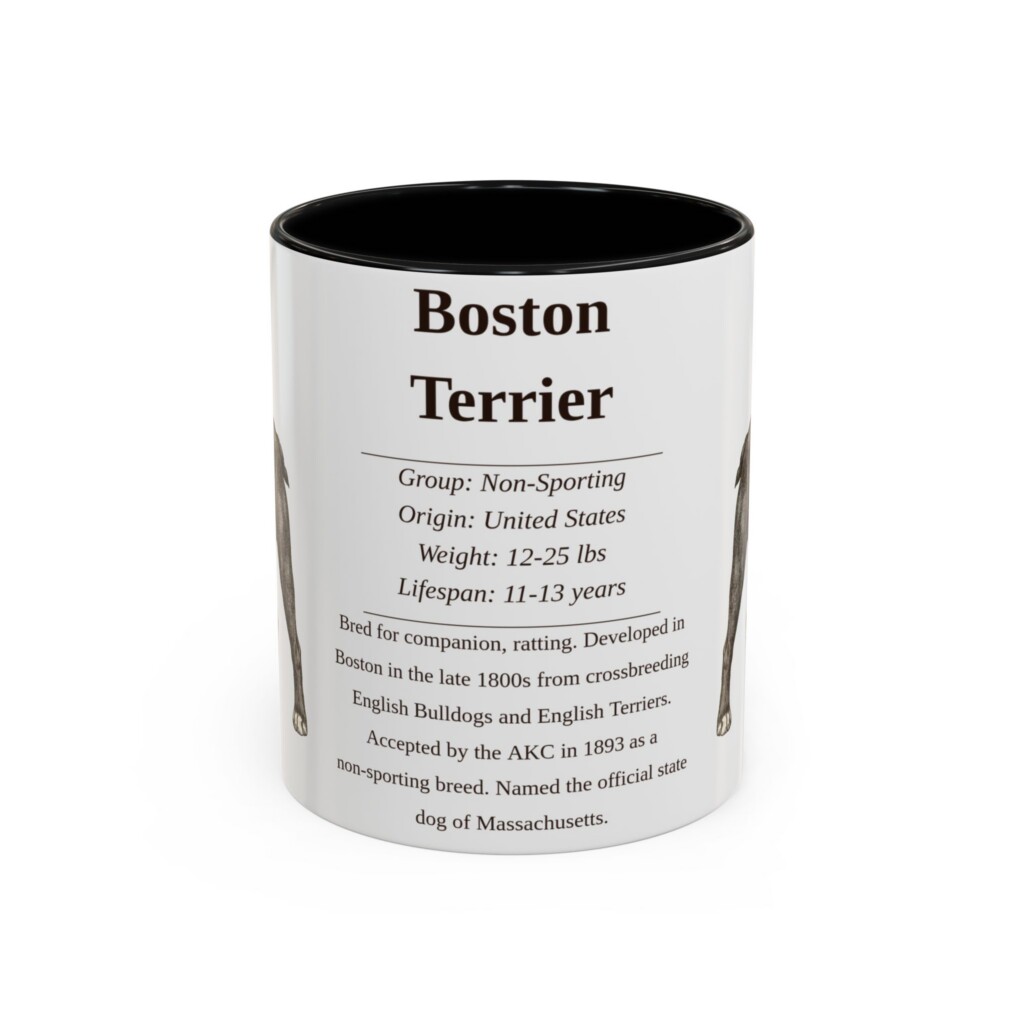 11oz Boston Terrier Mug, Illustrated Dog Breed Facts Coffee Mug, Vintage Dog Keepsake Gift