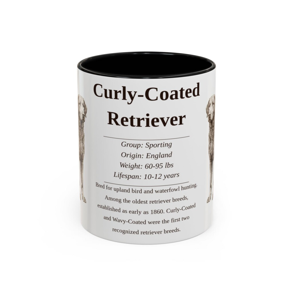 11oz Curly-Coated Retriever Mug, Illustrated Dog Breed Facts Coffee Mug, Vintage Dog Keepsake Gift
