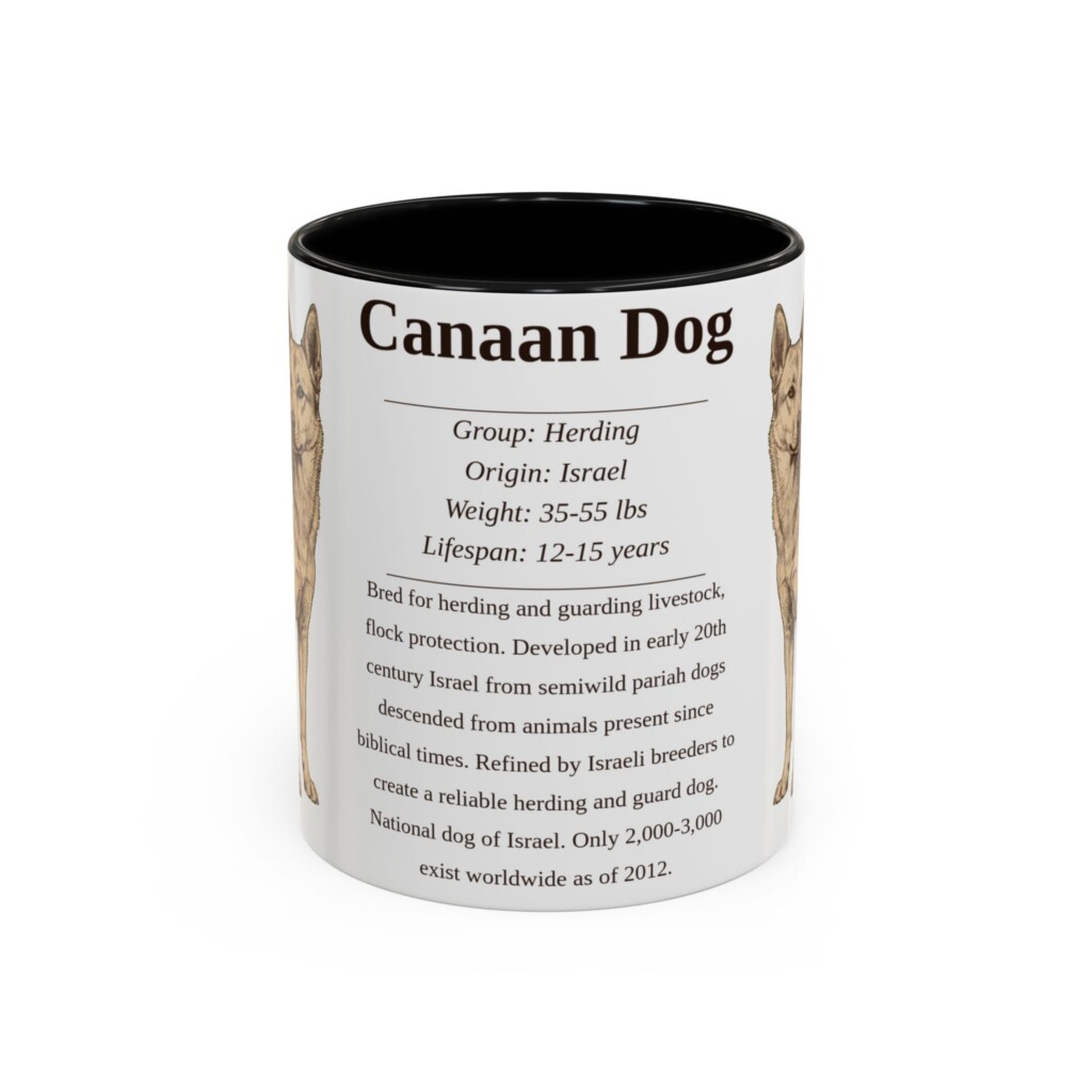 11oz Canaan Dog Mug, Illustrated Dog Breed Facts Coffee Mug, Vintage Dog Keepsake Gift