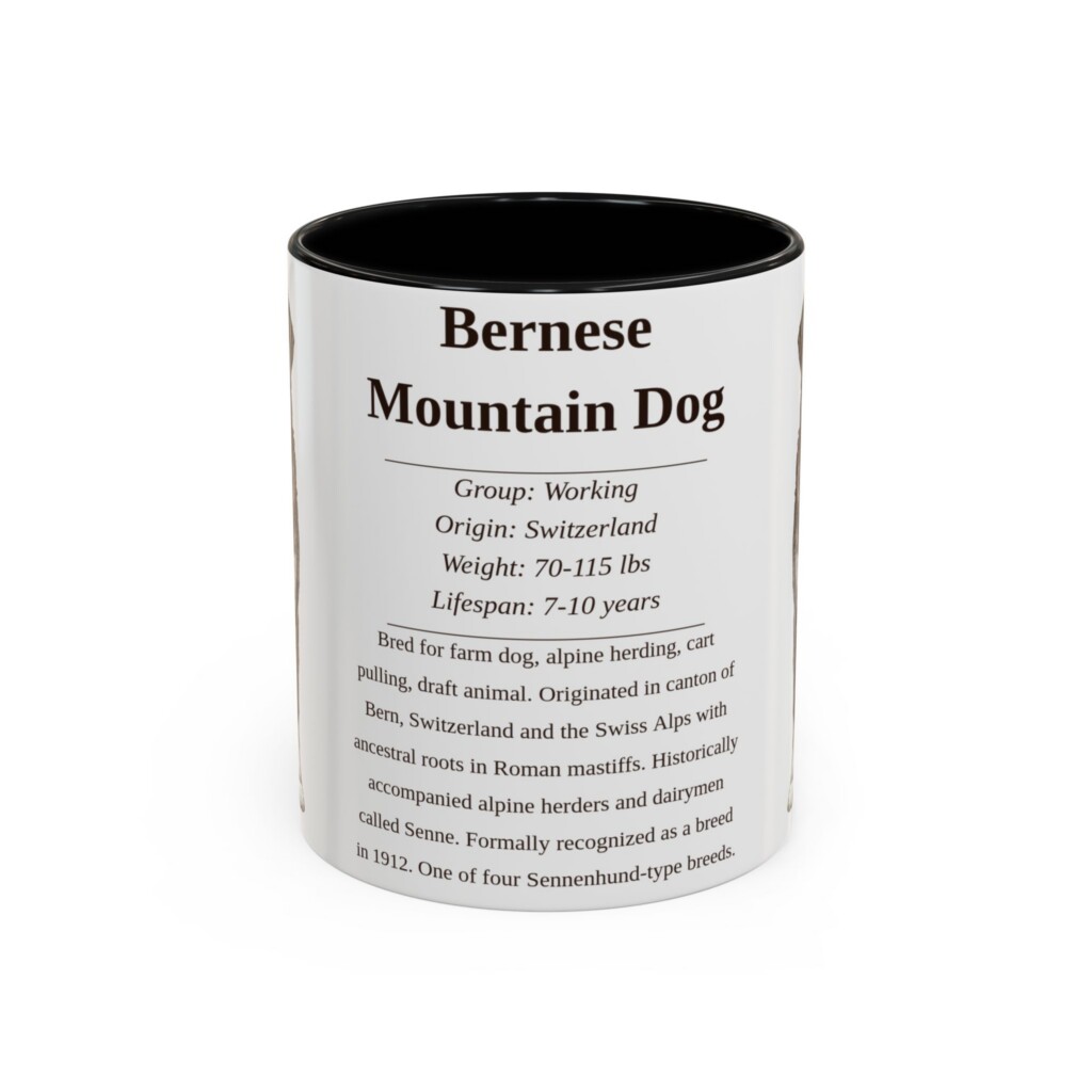 6991007034221681707_2048.jpeg 11oz Bernese Mountain Dog Mug, Illustrated Dog Breed Facts Coffee Mug, Vintage Dog Keepsake Gift